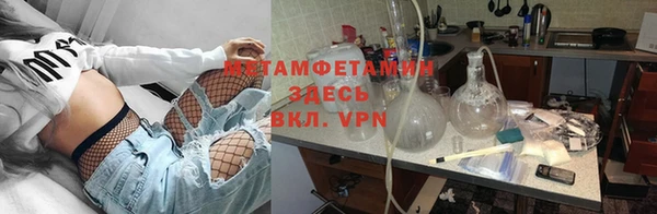 сатива Волосово