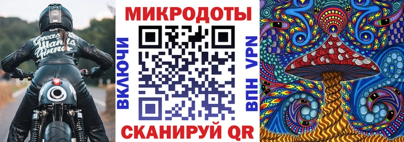 Псилоцибиновые грибы Psilocybine cubensis  Ишимбай 